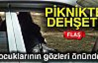 Piknik'te DEHŞET!