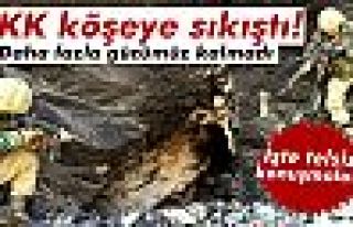 PKK köşeye sıkıştı