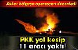 PKK yol kesip, araç yaktı