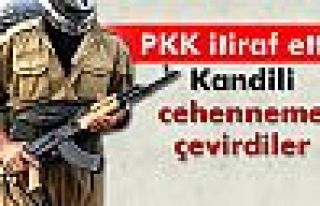 PKK'lı teröristten Kandil itirafı!