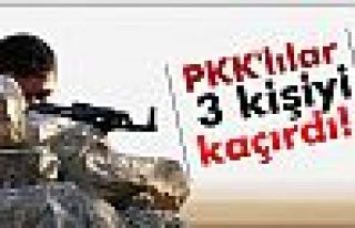 PKK'lılar 3 kişiyi kaçırdı