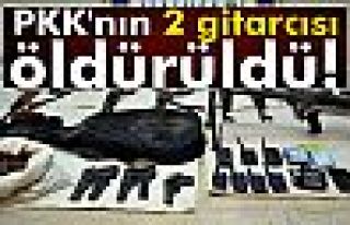 PKK'nın 2 gitarcısı öldürüldü