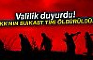 PKK'nın suikast timi yok edildi