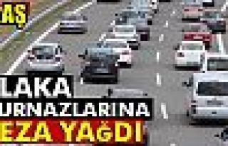 PLAKA KURNAZLARINA CEZA YAĞDI!