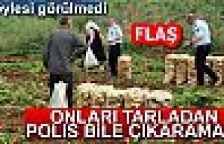 POLİS BİLE ÇIKARAMADI!