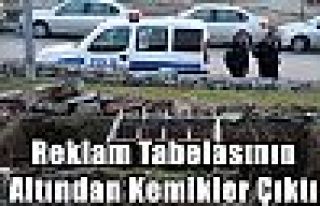 Reklam Tabelasının Altından Kemikler Çıktı