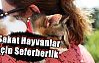 Sakat Hayvanlar İçin Seferberlik