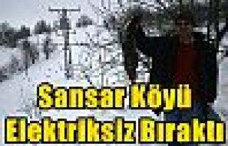 Sansar Köyü Elektriksiz Bıraktı