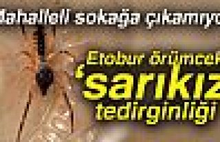 ‘Sarıkız’ tedirginliği sürüyor