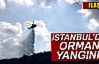 Sarıyer’de orman yangını