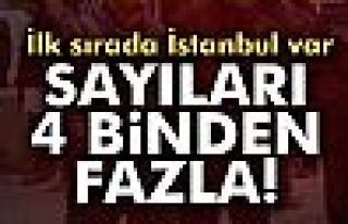 Sayıları 4 Binden Fazla!