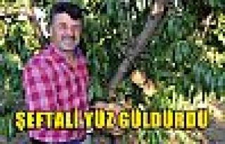 Şeftali yüz güldürdü