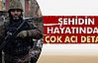 Şehidin hayatından çok acı detay!