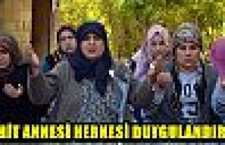 Şehit annesi herkesi duygulandırdı