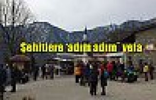 Şehitlere ‘Adım Adım` Vefa