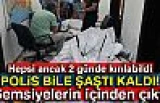 Şemsiyelerin içinden uyuşturucu çıktı