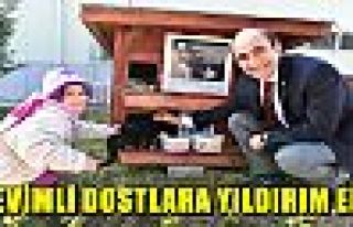 Sevimli dostlar unutulmuyor