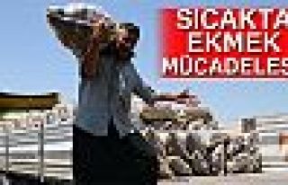 SICAKTA EKMEK MÜCADELESİ!