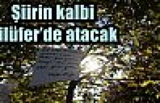 Şiirin kalbi Nilüfer’de atacak 