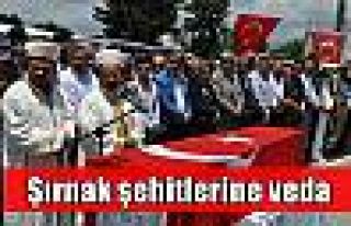 Şırnak şehitlerine veda