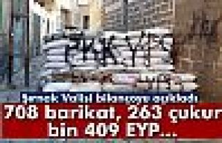 Şırnak Valisi’nden ‘Cizre’ açıklaması