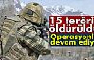 Şırnak'ta 15 terörist öldürüldü