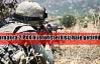 Şırnak'ta 2 PKK'lı terörist etkisiz hale getirildi