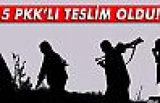 Şırnak'ta 5 PKK'lı teslim oldu