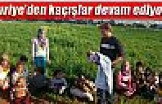 Suriye’den kaçışlar devam ediyor