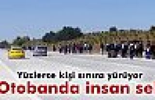 Suriyeliler Edirne'ye otobandan yürüyor