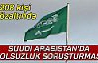 Suudi Arabistan'da 208 kişi gözaltında