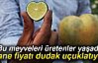 TANE FİYATI DUDAK UÇUKLATIYOR!