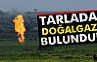 Tarladan doğalgaz çıktı