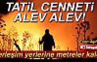 TATİL CENNETİ ALEV ALEV!