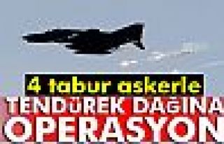 Tendürek Dağına hava destekli operasyon