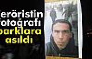 Teröristin fotoğrafı parklara asıldı