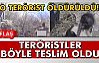 TERÖRİSTLER BÖYLE TESLİM OLDU!