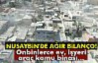 Terörün ağır bilançosu