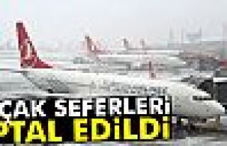 THY’de 146 sefer iptal edildi