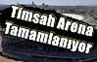 Timsah Arena Tamamlanıyor