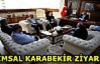 TİMSAL KARABEKİR ZİYARET