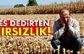 Tokat’ta pes dedirten hırsızlık!