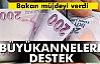 Torununa bakan büyükannelere destek