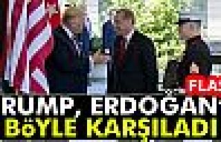 TRUMP ERDOĞAN'I BÖYLE KARŞILADI!