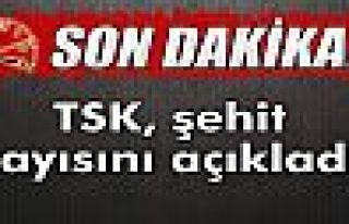 TSK'dan Dağlıca açıklaması: 16 şehit