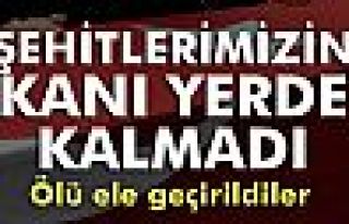 Tunceli'de 3 terörist öldürüldü