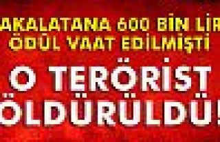 Tunceli'de PKK'nın sözde üst düzey sorumlusu öldürüldü
