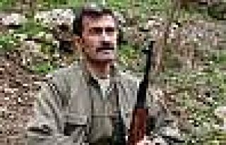 Tunceli’de PKK’ya Ağır Darbe