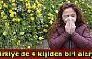 Türkiye'de 4 kişiden biri alerjik