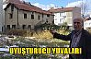 Uyuşturucu yuvaları